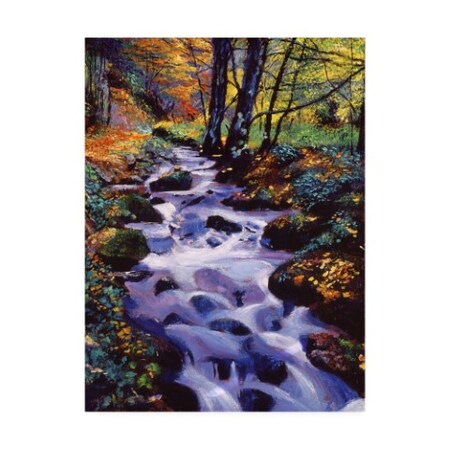 David Lloyd Glover 'Watersounds In Fall Forest' Canvas Art,18x24